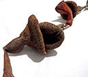 %_tempFileName135_2_Tururi-Muana_in_Marajo%