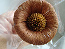 %_tempFileName135_3_Tururi%