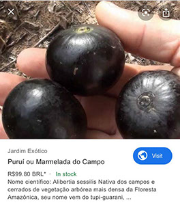 %_tempFileName66_0_Marmelada%