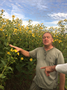 %_tempFileName14_Silphium_perfoliatum%