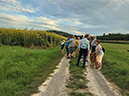 %_tempFileName16_Silphium_perfoliatum%