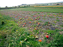 %_tempFileName12_Esperde_16_Sept_2020%