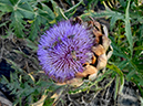 %_tempFileName17_Esperde_16_Sept_2020%