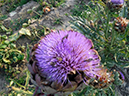 %_tempFileName18_Esperde_16_Sept_2020%