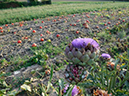 %_tempFileName19_Esperde_16_Sept_2020%