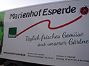 %_tempFileName23_Esperde_16_Sept_2020%
