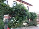 %_tempFileName29_Esperde_16_Sept_2020%