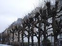 %_tempFileName02_Briskeby_Oslo_7_mars_2020%