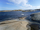 %_tempFileName05_Verdens_ende_11_mars_2020%