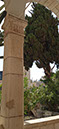 %_tempFileName07_Austrian_Hospice%