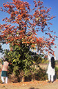 %_tempFileName028_Palash_tree_18_Feb_2023%