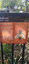 %_tempFileName02_Sakura_bees%