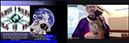 %_tempFileName39_Dignity_Workshop_6_Dec_2024%