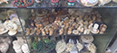 %_tempFileName11_Gift_shop_Lahore_airport_12_Jan_2025%