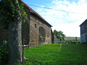 66_ehemaliges_Bertelsdorf_Nachbar_mit_Kuehen-1