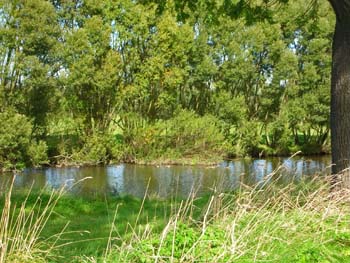 73_ehemaliges_Bertelsdorf_der_Queis-1