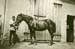 13_1940_my_fathers_brother_Fritz_in_front_of_the_horses_stable