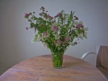 49_Blomster_fra_Litloey