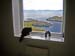11_Sirius_paa_Litloey_fyr