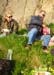 26_1_picnic