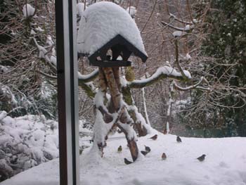 14_Neujahr_2009_zu_2010