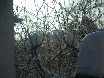 19_Neujahr_2009_zu_2010