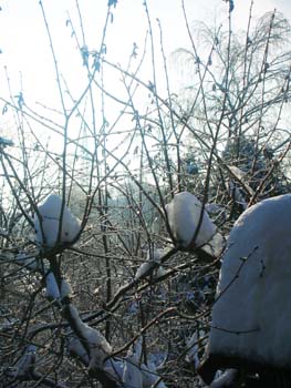 20_Neujahr_2009_zu_2010