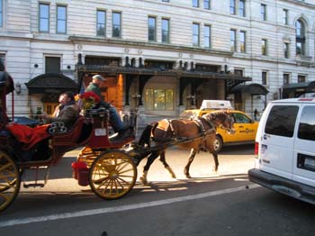 IMG_2655