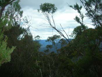 24_blue_mountains